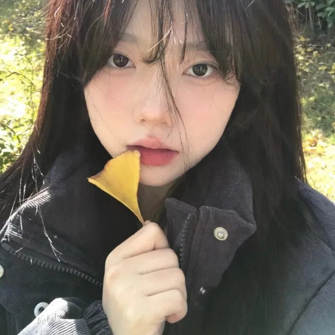 新妇日记