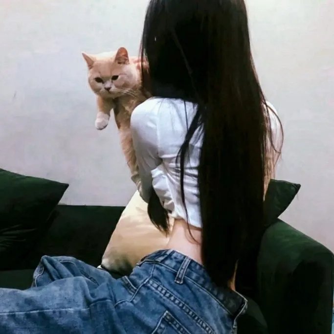 向往的生活老友记