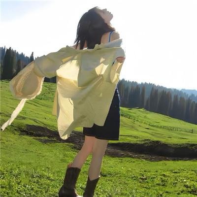高卢英雄英游记